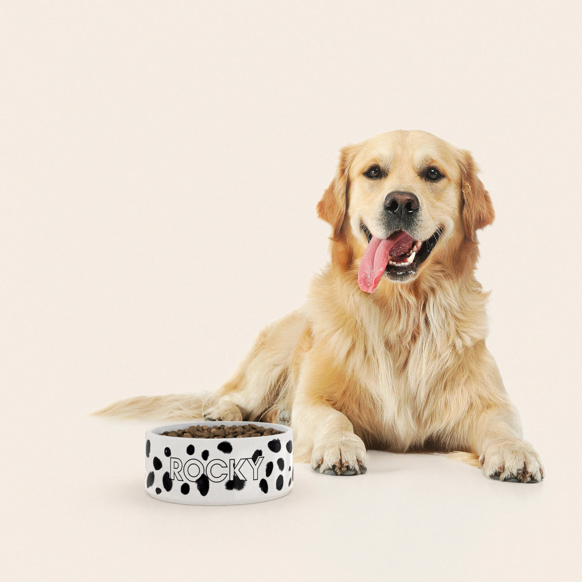 Un golden retriever assis à côté d'un bol pour chien au motif Dalmatien personnalisé avec le nom ROCKY