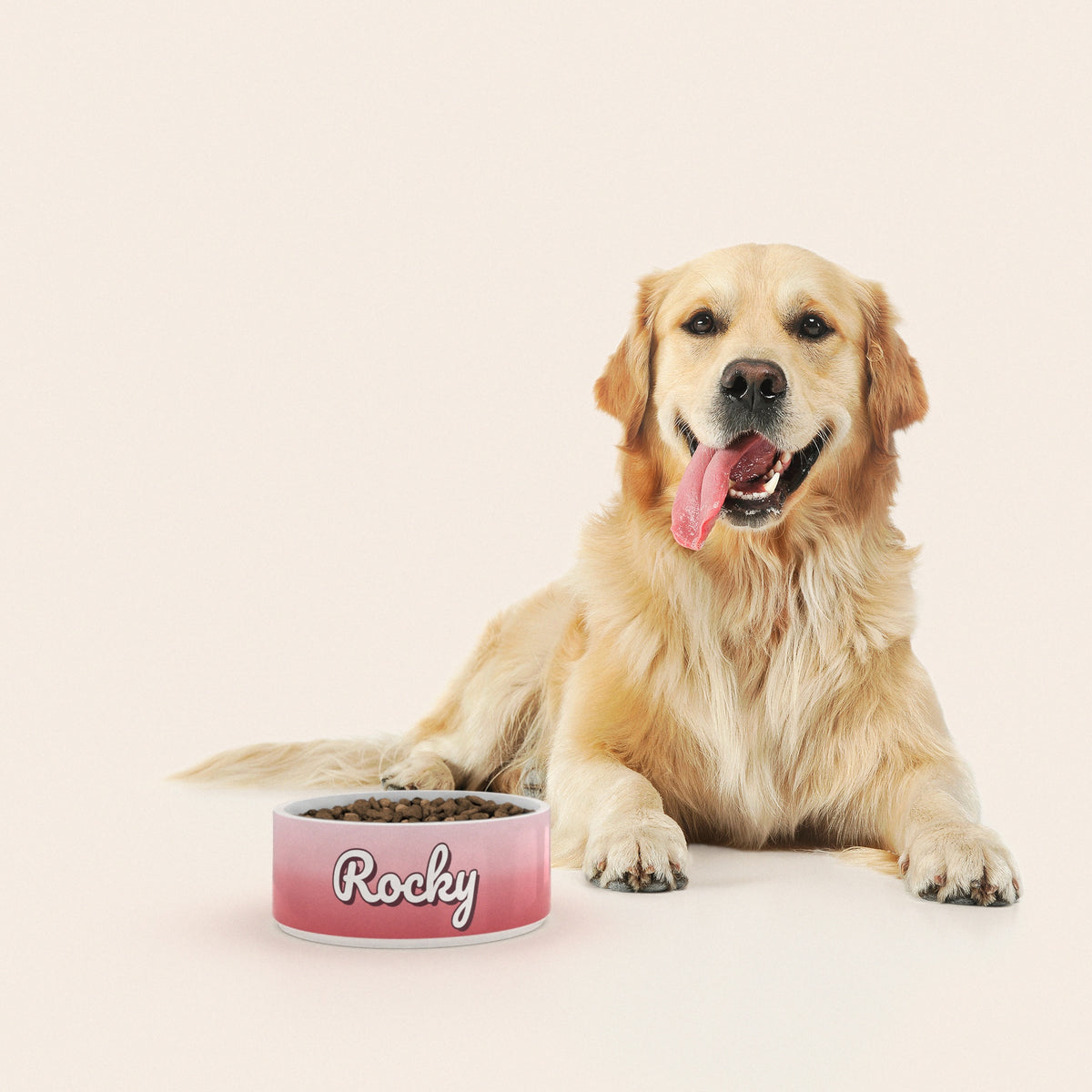 Un golden retriever assis à côté d'un bol pour chien au motif Duo Rose personnalisé avec le nom ROCKY