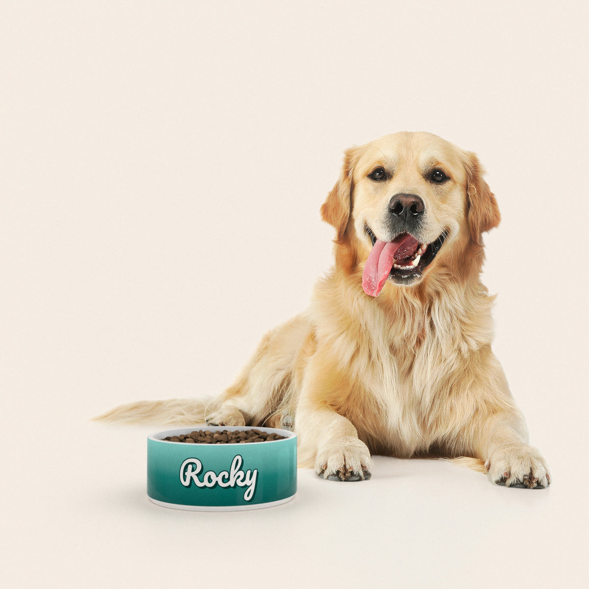 Un golden retriever assis à côté d'un bol pour chien au motif Duo Vert personnalisé avec le nom ROCKY