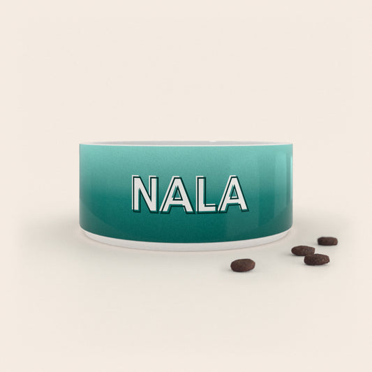 Gamelle pour chien au motif Duo Vert personnalisés avec le nom Nala, accompagné de croquettes sur fond neutre.