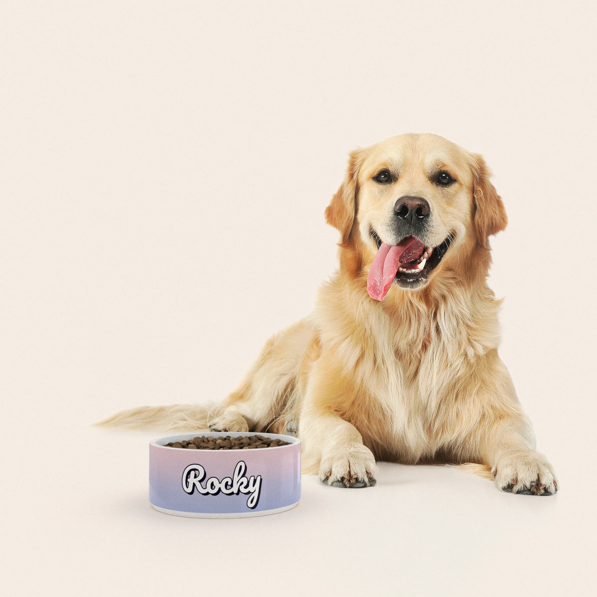Un golden retriever assis à côté d'un bol pour chien au motif Duo Poudré personnalisé avec le nom ROCKY