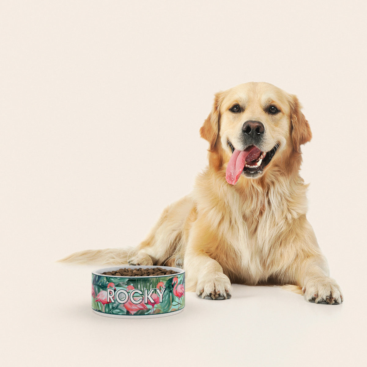Un golden retriever assis à côté d'un bol pour chien au motif Flamant Rose personnalisé avec le nom ROCKY