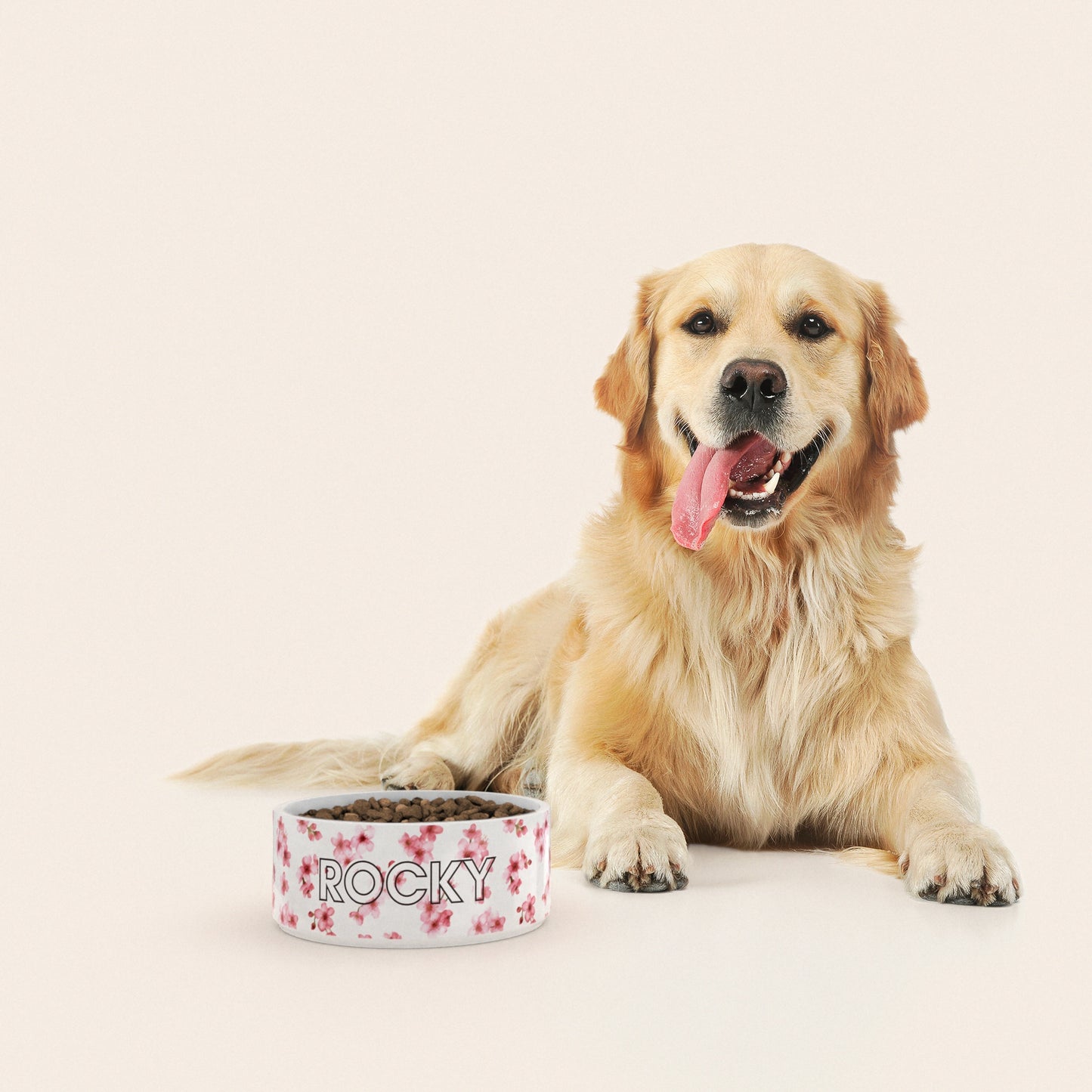 Un golden retriever assis à côté d'un bol pour chien au motif Sakura personnalisé avec le nom ROCKY