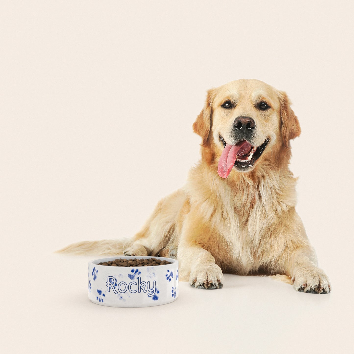 Un golden retriever assis à côté d'un bol pour chien au motif Pattes Bleues personnalisé avec le nom ROCKY