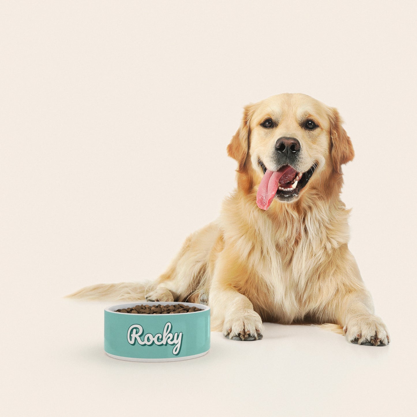 Un golden retriever assis à côté d'un bol pour chien au motif Vert Pastel personnalisé avec le nom ROCKY